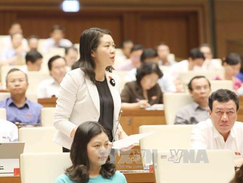 Luật Đơn vị hành chính - kinh tế đặc biệt: Phải bảo vệ chủ quyền an ninh quốc gia ảnh 2